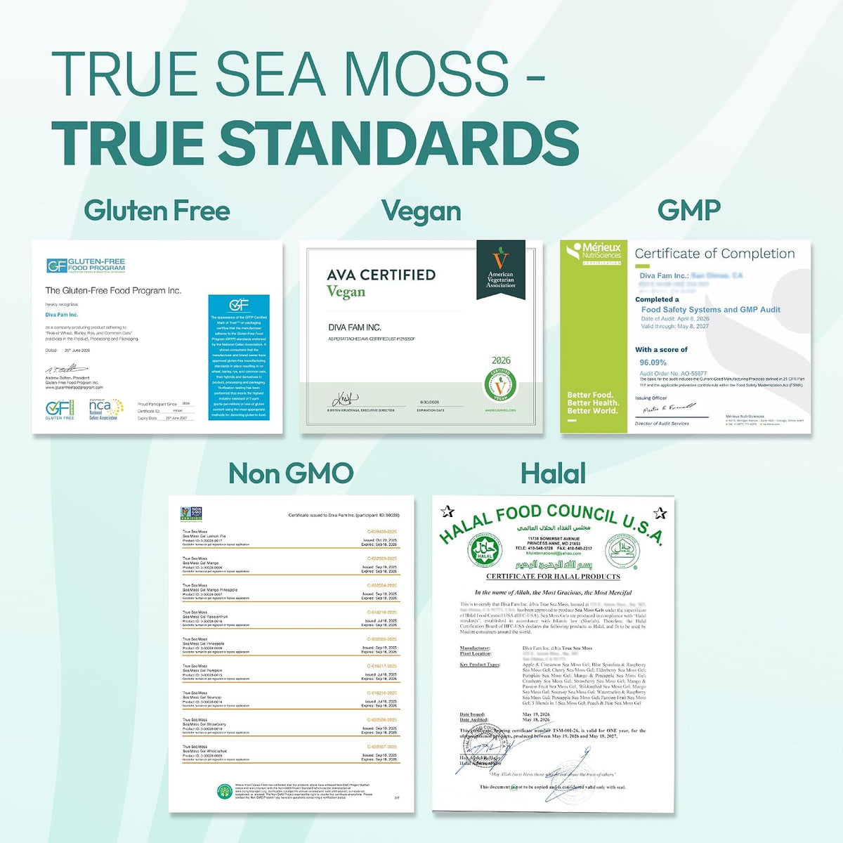 TrueSeaMoss Sea Moss Gel – Mango/Pineapple, Pack of 1 (Labels may Vary)