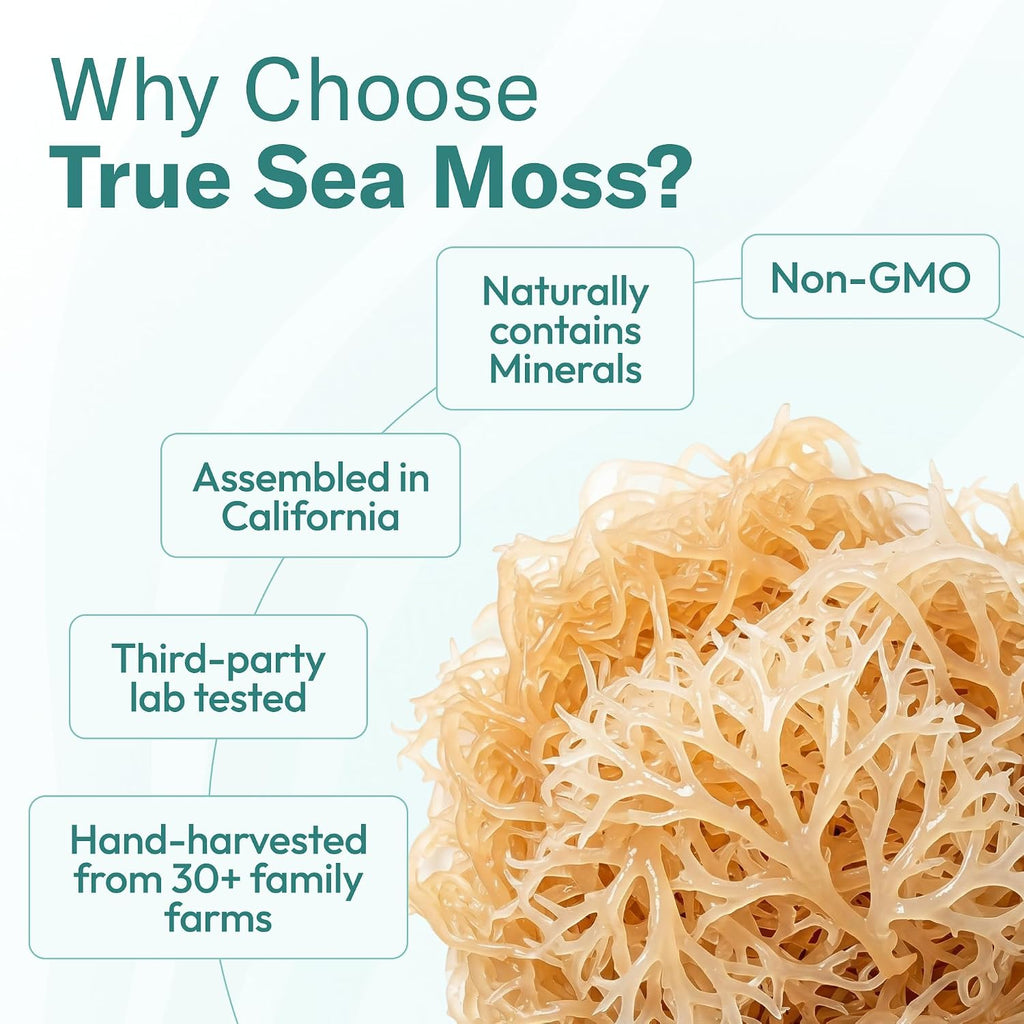 TrueSeaMoss Sea Moss Gel – Mango/Pineapple, Pack of 1 (Labels may Vary)